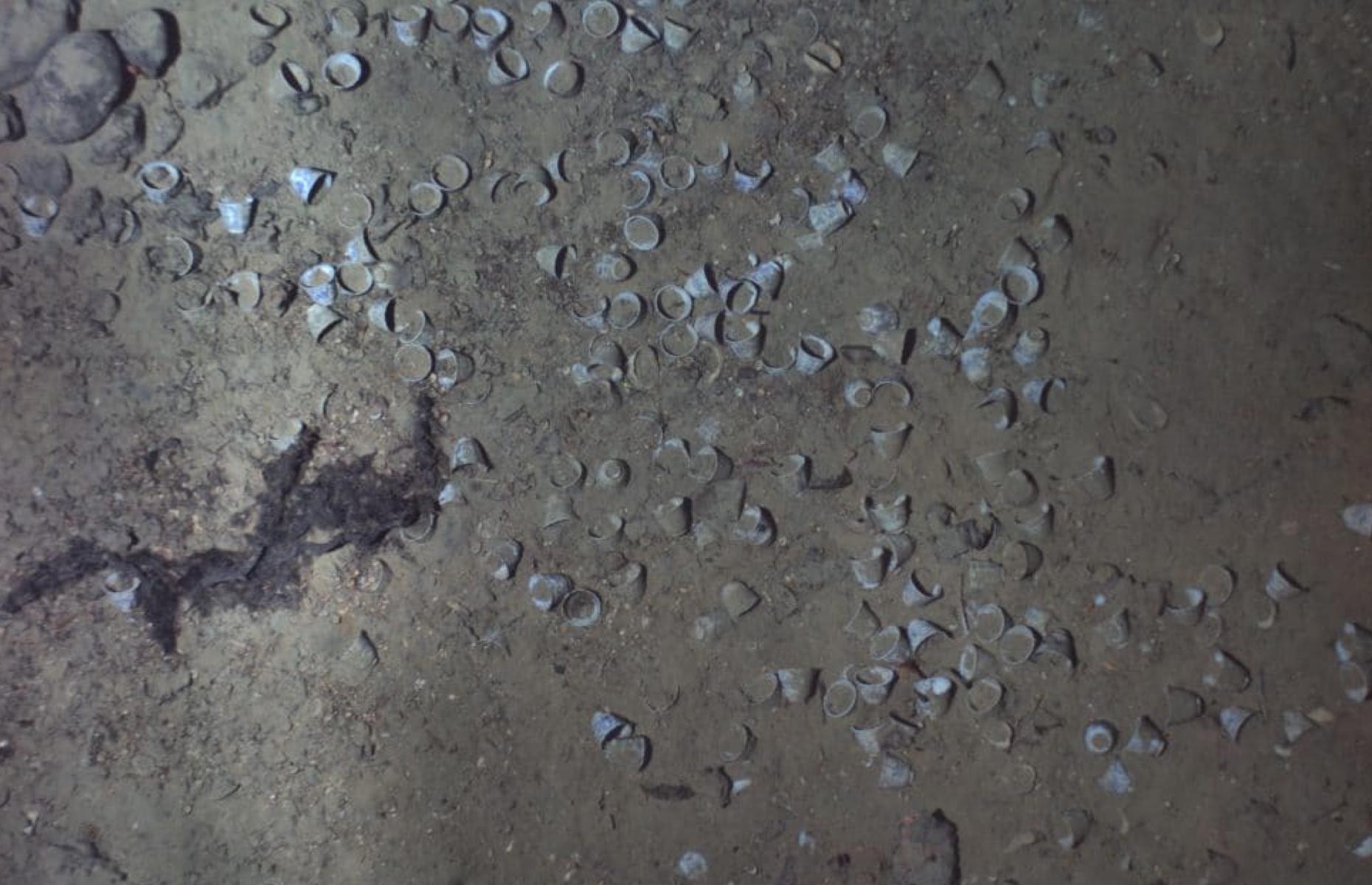 Wreckage revealed 